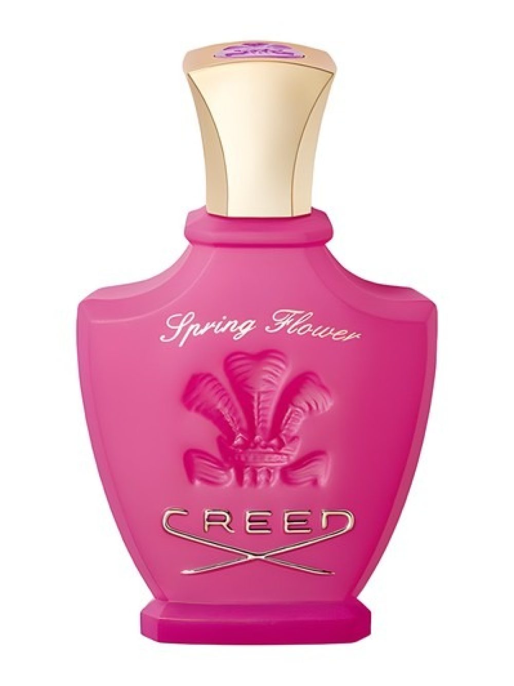 Spring Flower