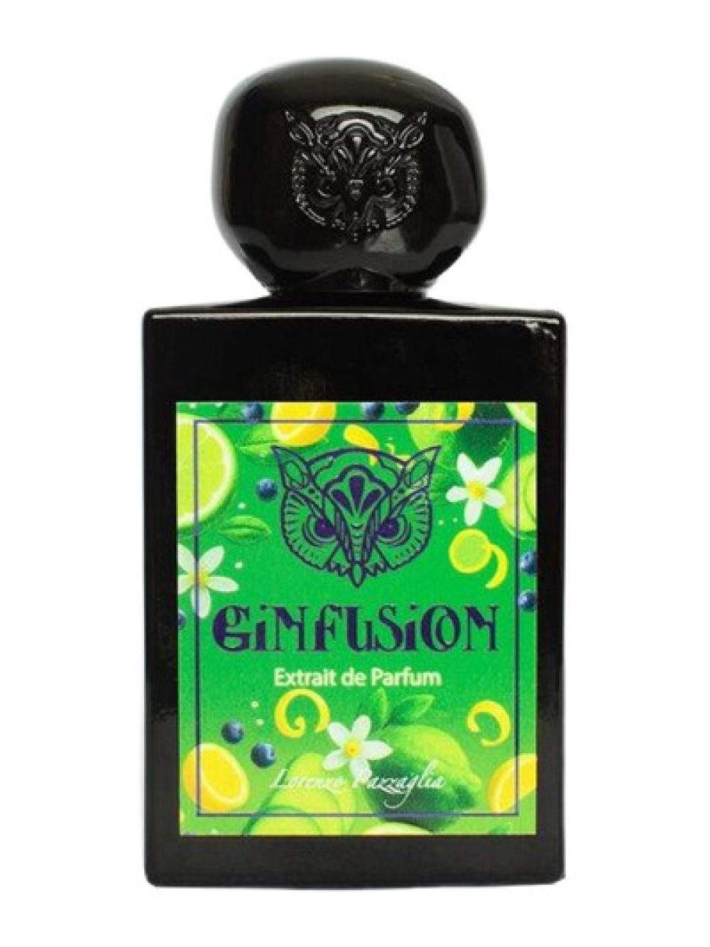 GINFUSION